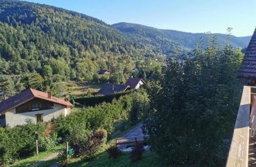 La Bresse Ski Chalet | The dream catcher -Spa- panoramic sauna- 2 MINUTES FROM THE SLOPES
