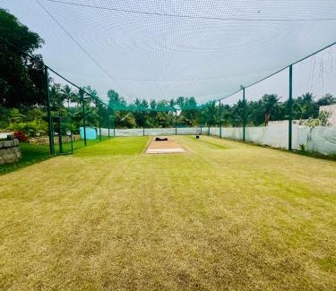 Agara Other | The Fairy Tale Farms