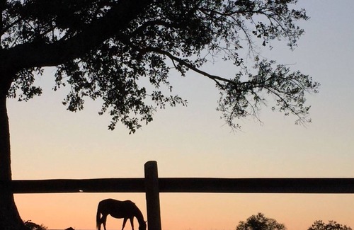 Madison Bed & Breakfast | The Farmhouse Inn