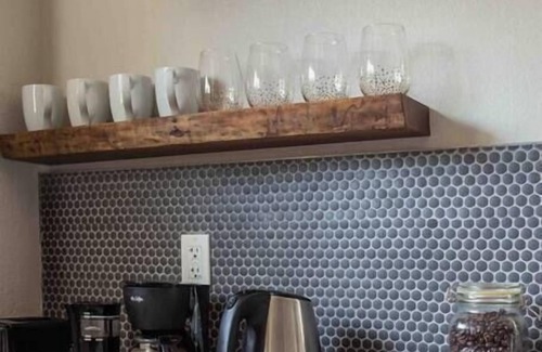 Rogers Park Apartment | The Fireweed Gardens