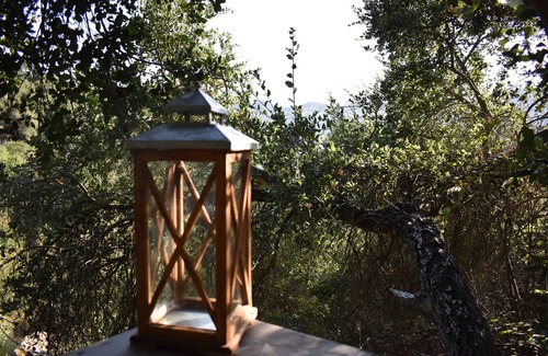 Topanga Cabin | The Flying Pig Treehouse Oasis