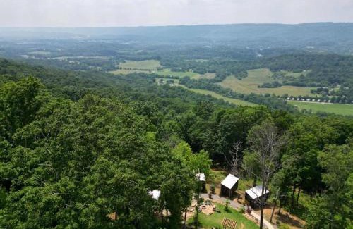 Wildwood House | The Fox Tail Pine Treehouse at Treetop Escapes
