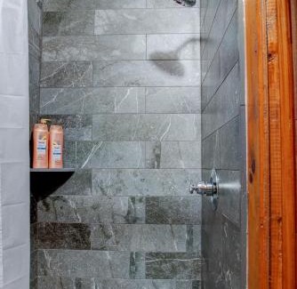 Waynesville Apartment | The Furry Lodge Suite 5