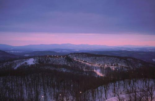 Waynesville Apartment | The Furry Lodge Suite 10