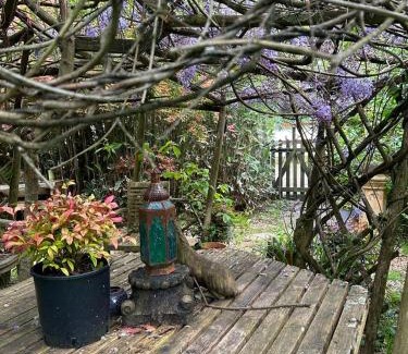 New Forest District House | The Garden Room