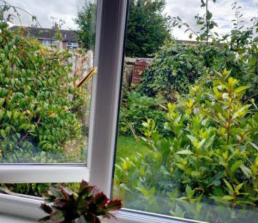 Stamford House | The Garden Room