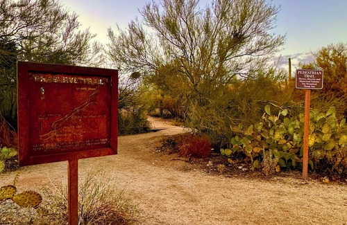 Dove Mountain House | The Gem of The Preserve