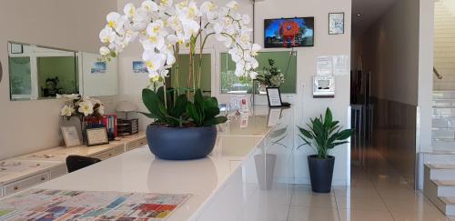 Griffith Hotel | The Grand Motel