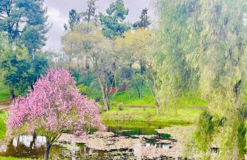 Modesto Villa | The Grand Waterside Estate Easy drive to Yosemite