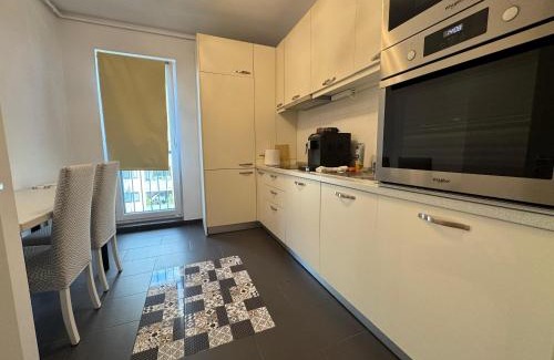 Cluj-Napoca Apartment | The Green Glow - Stay in Style