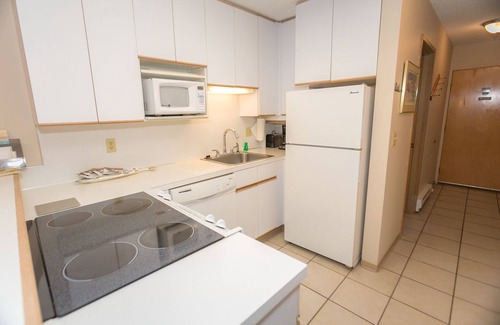 Ocean Shores Apartment | The Grey Gull