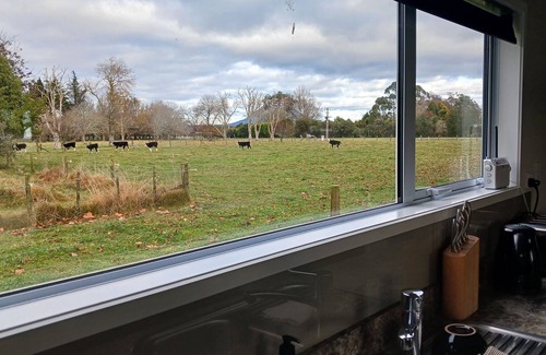 Te Teko Cottage | THE GUEST HOUSE- Awakeri area.nBoutique accommodation -affordable price.