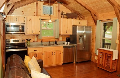 Black Mountain Cabin | The Hoot Owl - New Cabin in Black Mountain w/views & discount Biltmore tickets!