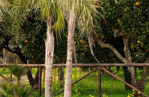 Licola House | The House in the Countryside, between sea, lakes and spa Cin IT063060C2TR8VSL6E