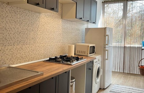 Dorobanti Apartment | The House in The Park