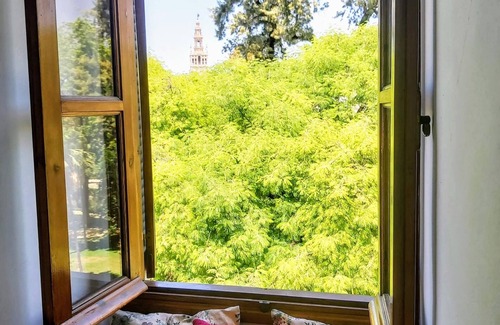 Santa Cruz Apartment | The house of San Fernando with views to Alcázar Gardens and Giralda