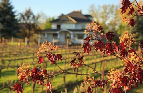 Walla Walla Hotel | The Inn at Abeja