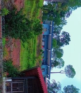 Almora House | the kasar devi stays