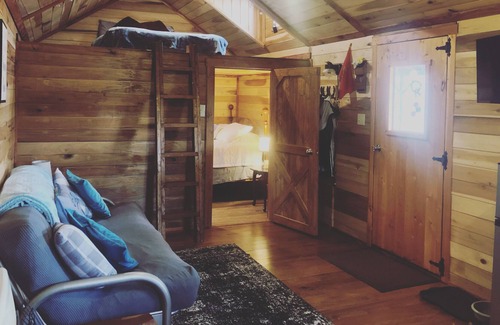 Mannsville Cabin | The Knotted Nook~ A Tiny Cabin Private, Dog Friendly, Smart TV, WiFi, Fire Pit