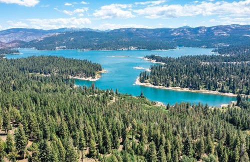 Shaver Lake House | The Knotty Sparrow Prime Spot Smores Nights
