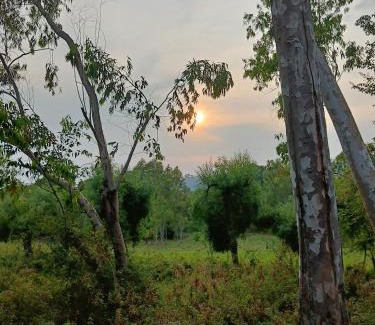 Palampur House | the Kutumb- Where the Himalayas come alive!