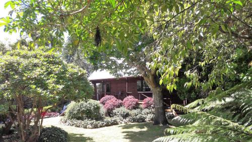 Te Anau House | The Lancewoods
