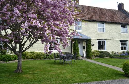 Ashcott Bed & Breakfast | The Lawns Tea Room and B&B