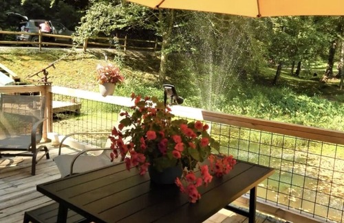 Otto Cabin | The Lily Pad GEM Hideaway! Perfect honeymoon/Anniversary spot! FLAT driveway