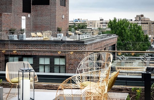 Adams Morgan Hotel | The LINE Hotel Washington DC, Monument Corner King, Pet-Friendly!