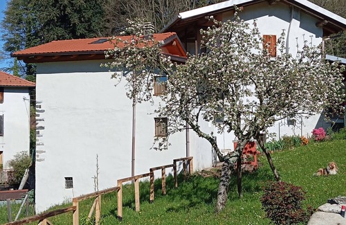 Breia House | The Little House