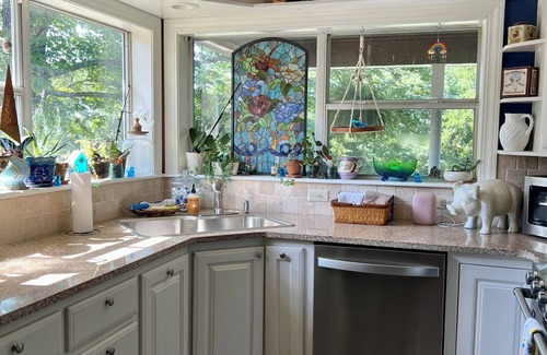 Eureka Springs House | The Lookout House at The Bluebird - 4 bedroom, pet friendly, hot tub, views!