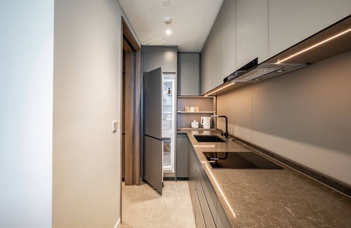 Thu Thiem Apartment | The Metropole Sai Gon Residences