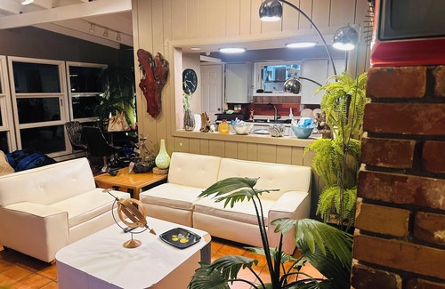 North Richland Hills House | The Mid century modern Must!