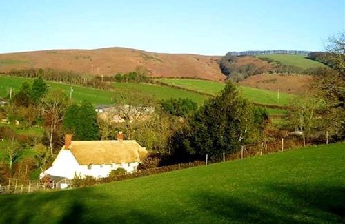 Fiddington House | The Mill
