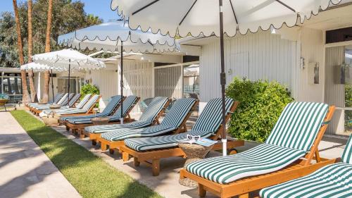 Desert Park Estates Hotel | The Monkey Tree Hotel Buyout by AvantStay Entire Hotel Buyout! Funky Rooms with Modern Amenities!