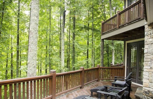 Scaly Mountain House | The Mountain Retreat - Highlands Plateau - Private Vineyard Getaway