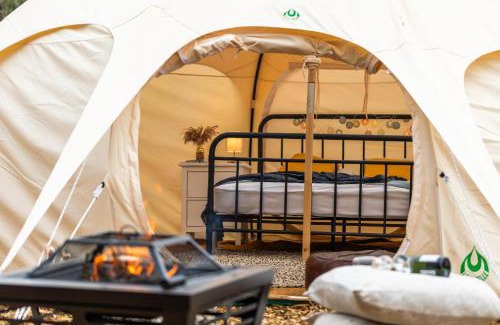 Bath Other | The Natterjack, Bath - Glamping