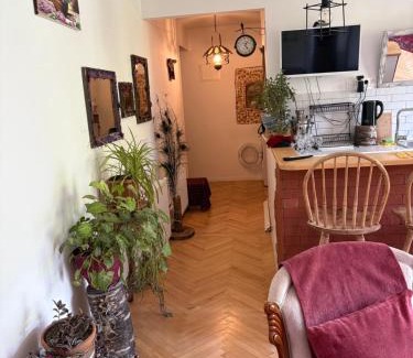 Sighnaghi Apartment | The nature