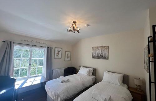 New Forest District Hotel | The New Forest Inn