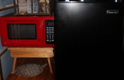 Pine Mountain Club Bed & Breakfast | The Old Bear BnB