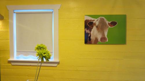 Newfoundland House | The Old Salt Box Co. - Daisy's Place