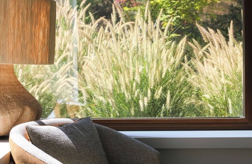 Jacksonville House | The Overlook at Cowhorn Vineyard & Garden, an immersive vineyard stay