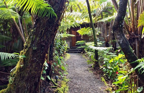 Volcano Apartment | The Pacifica Inn The Nene Room