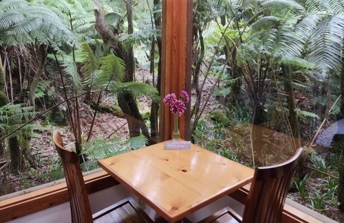 Volcano Apartment | The Pacifica Inn- The Nene and Hapu’u Room