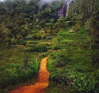 Nuwara Eliya House | The Paulwood cabana home stay
