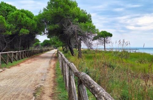 Bibione Pineda Villa | The perfect family retreat-Beahost