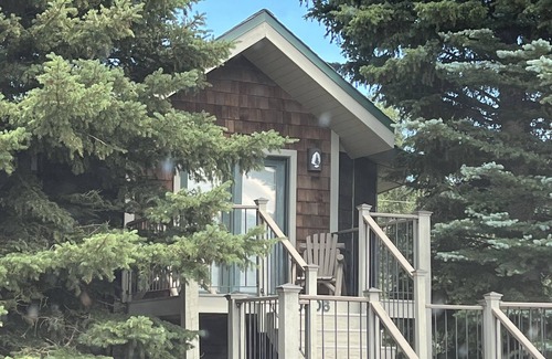 South Fork Cabin | The Pinecone Cabin. Twenty minutes from Wolf Creek Pass.