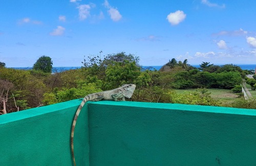 Saint-Francois House | The Pirate Ship