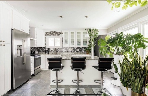 St. Louis House | THE PLANT SANCTUARY 🌱