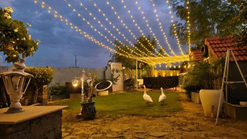 Village Hokra Hotel | The Promise Land - Nature Retreat